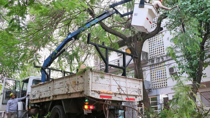 Semana de poda de árboles y desvíos en el microcentro de Resistencia