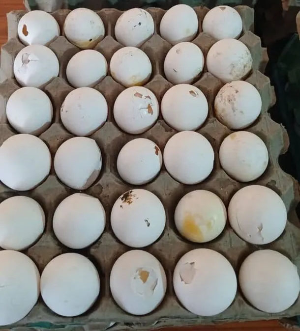 huevos