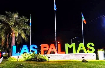 palmas
