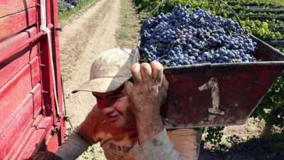 La cosecha cayó un 10% y los productores denuncian precios por debajo de los costos