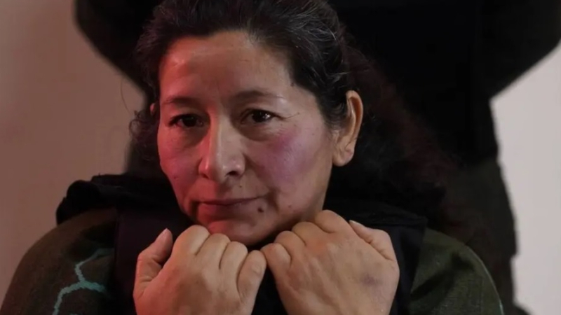 Laudelina Peña se negó a declarar y mantuvo silencio ante el tribunal