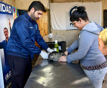 Acciones-de-tenencia-responsable-de-mascotas-en-el-barrio-Las-Rosas2