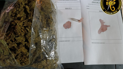 Auxilio inesperado: la Policía terminó descubriendo casi un kilo de cogollos de marihuana