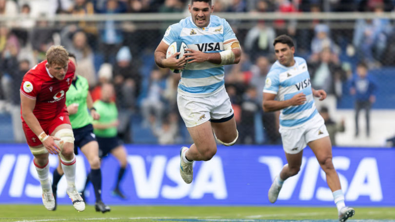 Los Pumas consiguieron su primer triunfo ante Gales