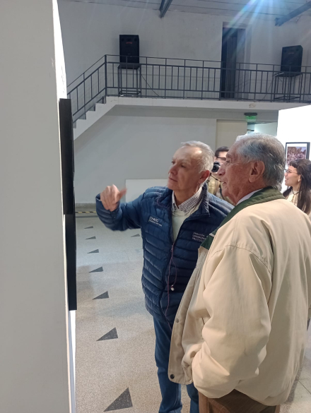camino a la bienal3 (2)