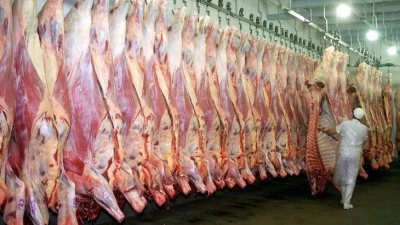 "Tenemos mejor carne", frigoríficos chaqueños defienden la producción local