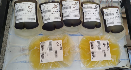 Operativo colecta de sangre Laishí