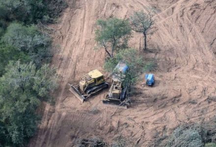 El Chaco tiene más de 246.000 hectáreas de tierras rurales en manos extranjeras 2 tierras