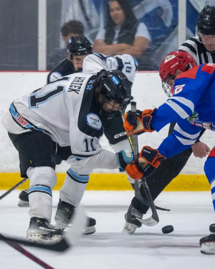 hockey3