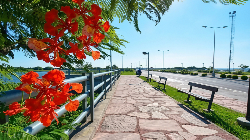 A algunos parecieran molestarles los logros de Formosa