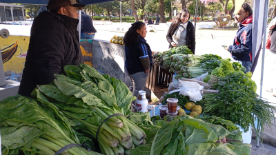 Venden verduras de estación y recién cosechadas en la chacra