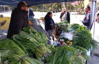 Venden verduras de estación y recién cosechadas en la chacra