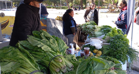 Venden verduras de estación y recién cosechadas en la chacra