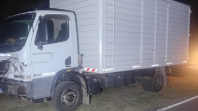 Peligro en la ruta: un camión embistió a una vaca cerca de Machagai
