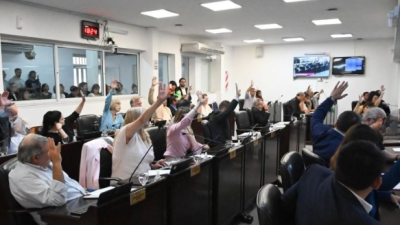 La suspensión de las PASO fracturó al Frente Chaqueño