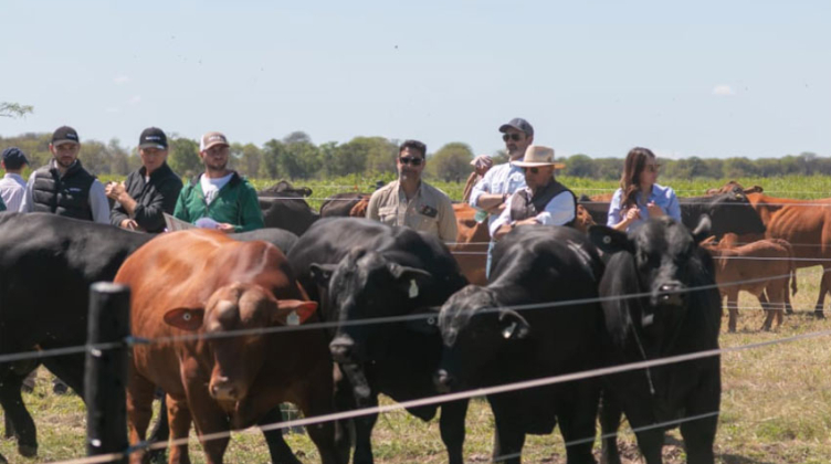 Calidad a campo con financiación: 12 cuotas y facilidades para el productor