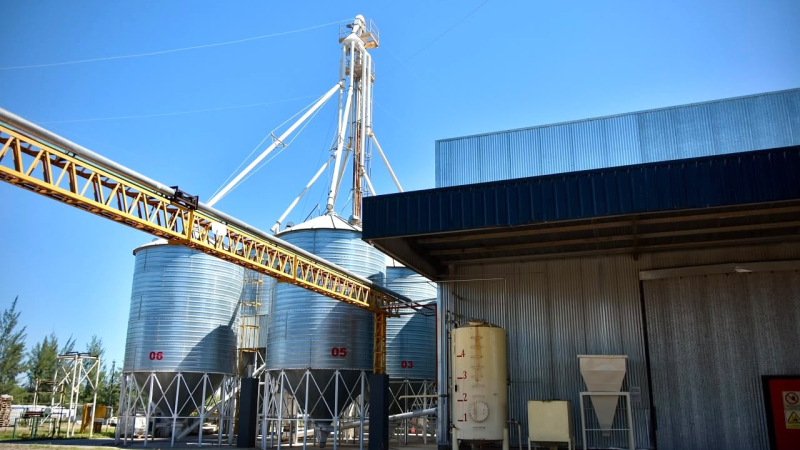 Una empresa planea exportar sebo bovino y harinas de carne y hueso desde el Chaco