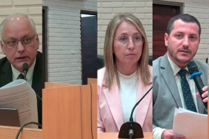 Las pruebas acordadas y la coartada del femicida Ezequiel Bonome