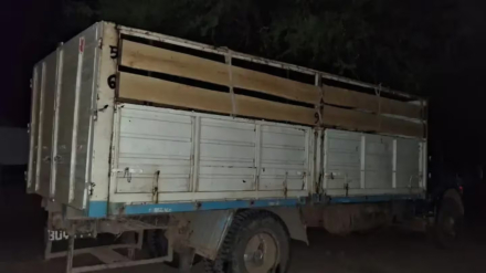 camion