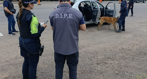 Identificaron a 28 extranjeros durante un control de rutina en el puente Belgrano