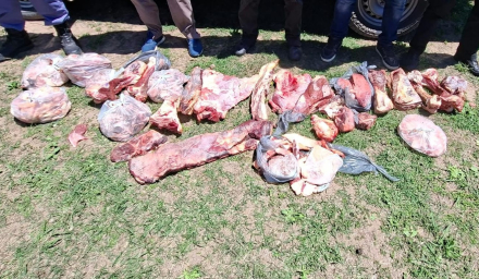 carne1