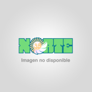 revista.jpg