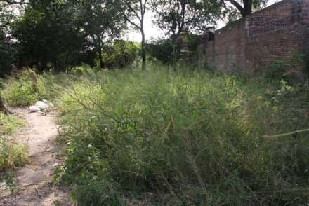 BALDIO3.jpg