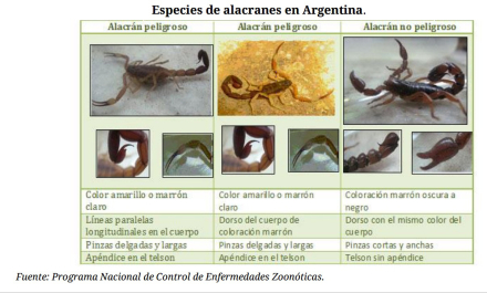 alacranes.jpg