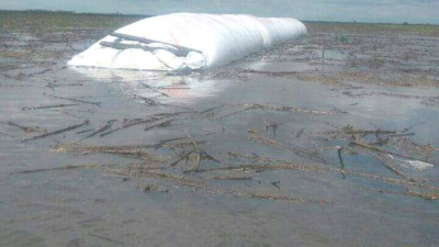 Inundaciones: en la zona de Villa Ángela se perdió una de cada cuatro hectáreas