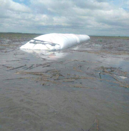 Inundacion-campo.jpg
