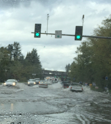 inundada.jpg