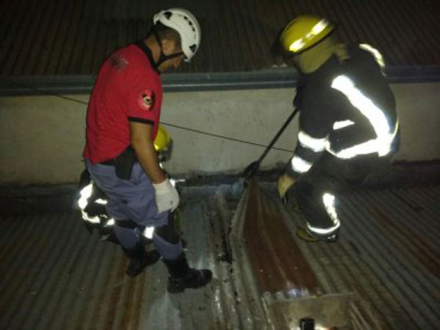 RESCATE-DOS.jpg