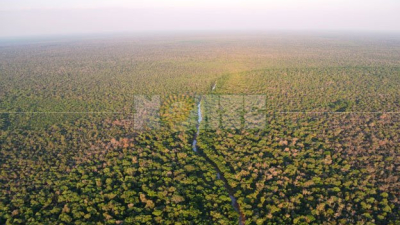 Hectáreas recuperadas por herederos de Roseo expropiadas para criollos