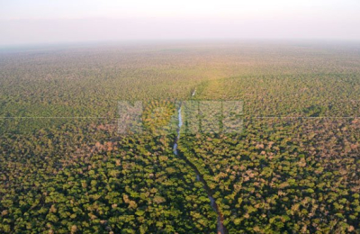 Hectáreas recuperadas por herederos de Roseo expropiadas para criollos