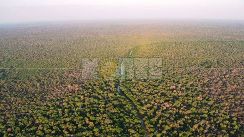 Hectáreas recuperadas por herederos de Roseo expropiadas para criollos