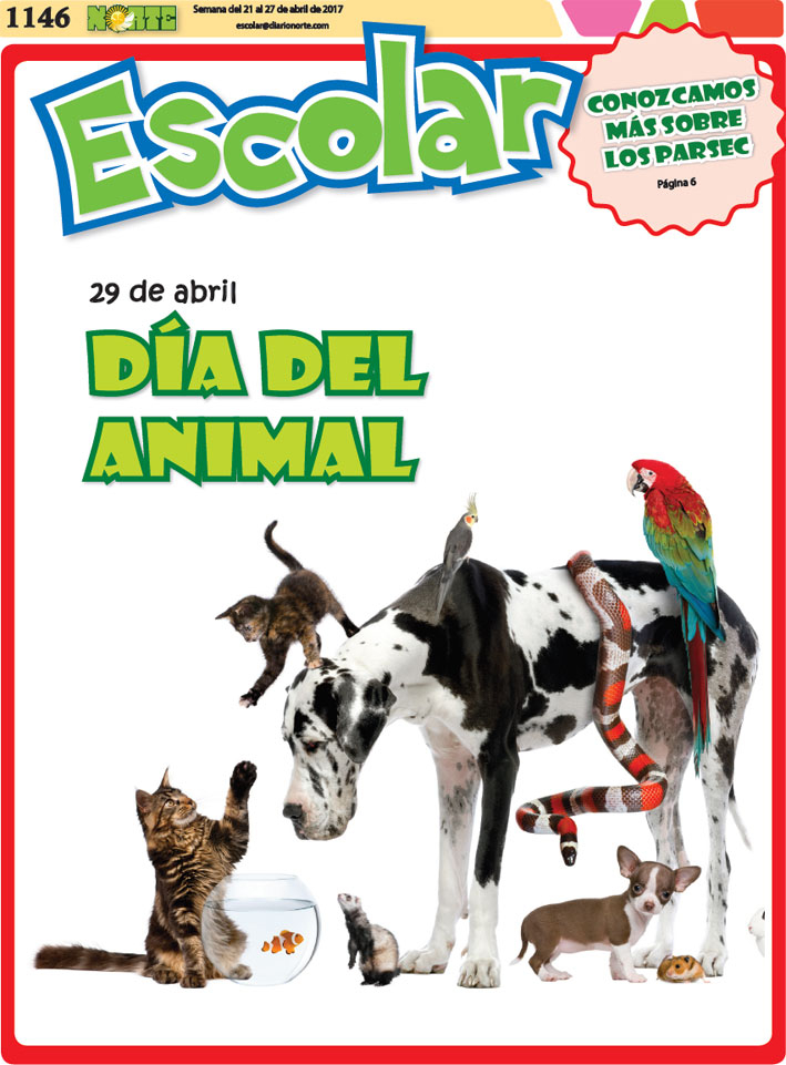 29 de abril: Día del Animal