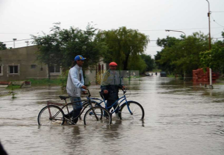 vilelas02.jpg
