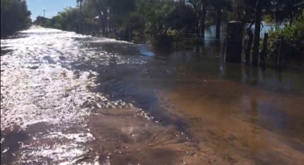 inundado.jpg