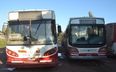 colectivero asaltado.jpg