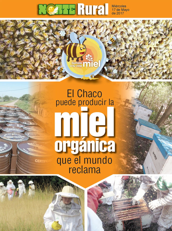 El Chaco puede producir la miel orgánica que el mundo reclama