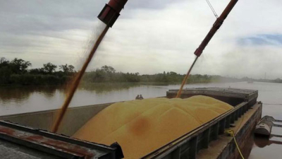 Argentina rumbo a lograr 200 millones de toneladas de producción de granos