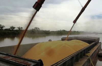 Argentina rumbo a lograr 200 millones de toneladas de producción de granos