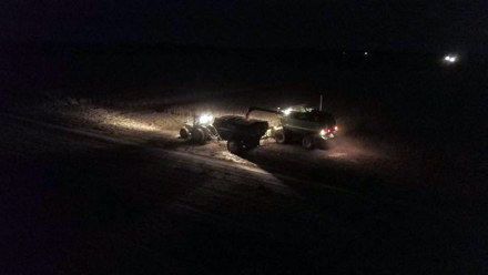 COSECHAR-DE-NOCHE.jpg