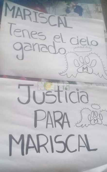 Cartel Mariscal.jpg