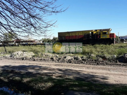 tren.jpg