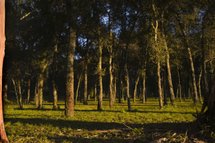 PARQUE-N.-CHACO-(12).jpg