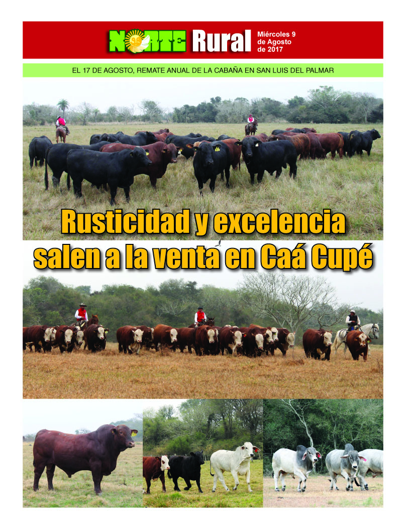 Rusticidad y excelencia salen a la venta en Caa Cupé