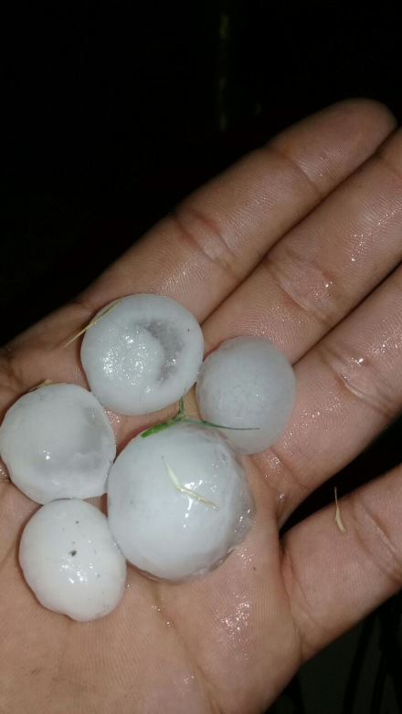 Foto del Granizo que azoto el campo de Farley (2).jpeg