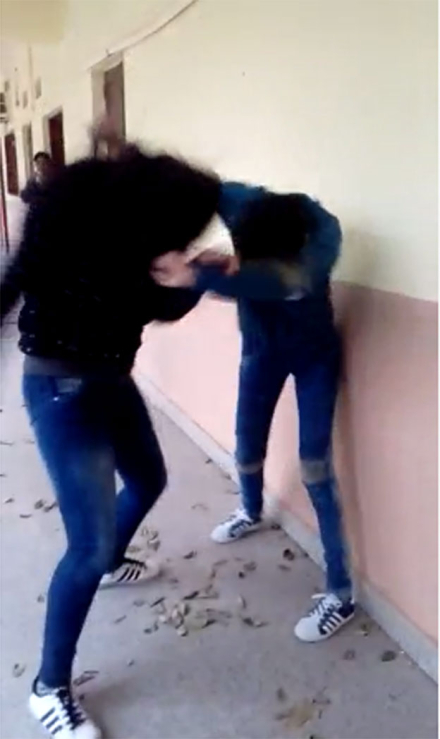 pelea3.jpg