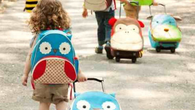 Los portafolios, mochilas carritos